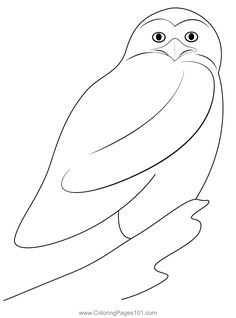 an owl sitting on top of a tree branch