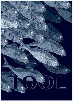 a group of fish swimming in the ocean with words that read,'tool '