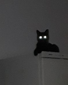 a black cat with glowing eyes sitting on top of a white wall in the dark