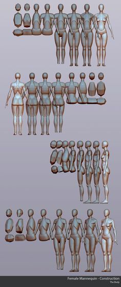 several different views of the body and head of an adult person with multiple angles to show it