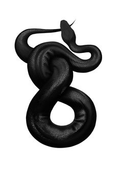 a black snake is curled up in the shape of an eight