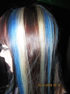 em ma (elm0z wrld) is tha inspo Coloured Streaks In Hair Brown, Black Blue And White Hair, Brown With Colored Highlights, Blue Blonde And Brown Hair, Aesthetic Hair Dye, Chunky Hair Color, Unique Highlights, Blue Chunky Highlights In Brown Hair, Blue And Blonde Highlights