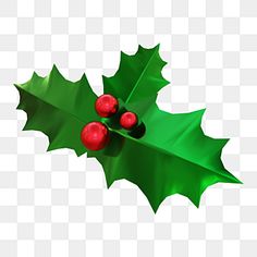 a holly leaf with two red berries on it, transparent background png clipart