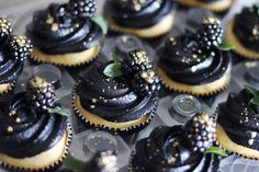 cupcakes decorated with black frosting and gold sprinkles are on display