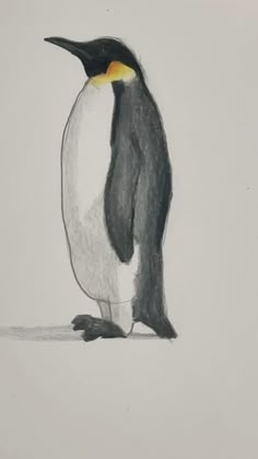 a drawing of a penguin standing on the ground