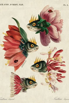 three fish and flowers are depicted in this antique illustration