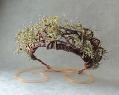Vine Crown, Twig Crown Diy, Forest Fairy Crown Diy, Rustic Woodland Crown Design, Woodland Fairy Crown Diy, Crown Made Of Branches, Tree Branch Crown, Crown Made Of Twigs, Rustic Woodland Crown