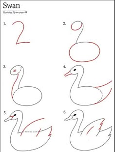 how to draw a swan step by step instructions for kids and beginners drawing lessons