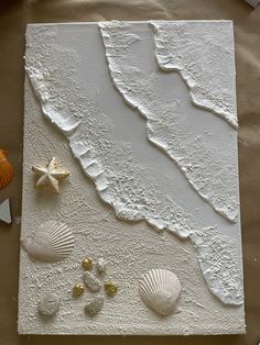 some seashells and starfish on a white board