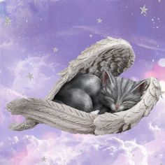 a painting of a kitten sleeping in an angel's wing with stars above it
