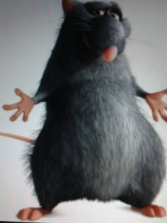 a cartoon rat with its arms out and eyes wide open, standing in front of a white background