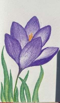 a drawing of two purple flowers with green leaves