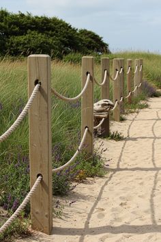 a row of wooden posts sitting next to a lush green field filled with purple flowers