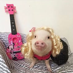 a pig that is sitting on a bed with a toy guitar in front of it