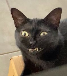 a black cat sitting on top of a box with it's mouth wide open