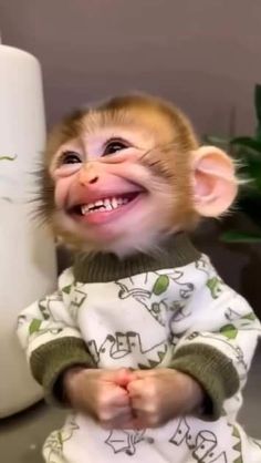 a small monkey sitting on top of a table next to a white vase and potted plant