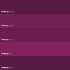 pantone's purple hues are shown in this screenshot
