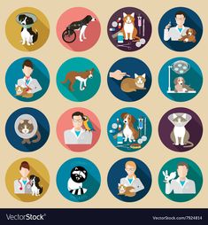 flat icons with dogs and veterinas in the hospital or petting clinic,