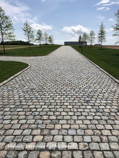 a cobblestone road with trees and grass in the background