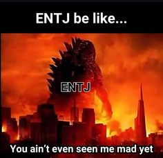 an image of a godzilla in the middle of a fire with words that say, entj be like