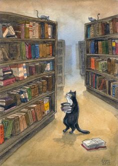 a black cat sitting in the middle of a library holding a stack of books and looking at it