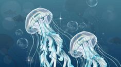two jellyfishs floating in the water with bubbles and stars on them'backs