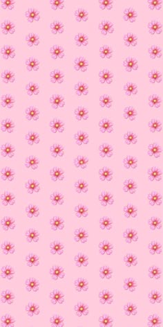 pink and yellow flowers on a light pink background
