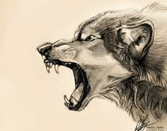 a drawing of a wolf with its mouth open