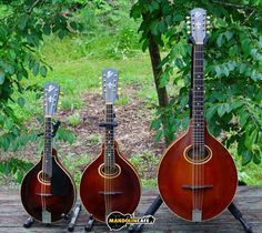 three ukulele sit on a wooden table in front of some trees and grass