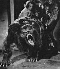 an animal that is on the ground with it's mouth open and two people in the background