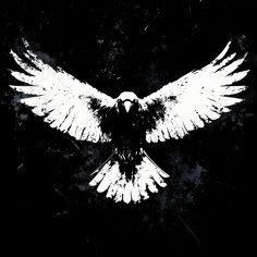 a black and white image of a bird with wings spread out in front of the camera