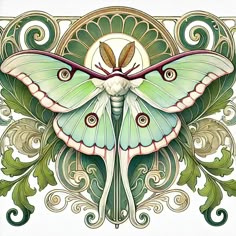 a drawing of a butterfly with ornate designs on it's wings and back side