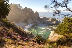 the sun shines on some rocks and flowers by the water's edge, along with palm trees