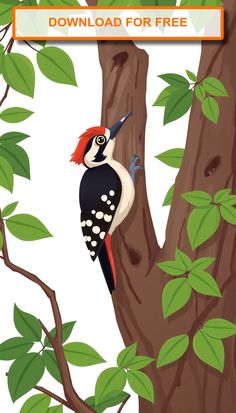 a bird perched on top of a tree next to a leaf filled branch with leaves