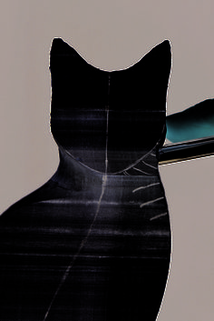 a close up of a toothbrush with a black cat design on it