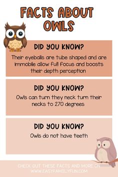 an owl is sitting on a branch with the words fact about owls in front of it