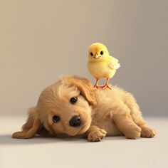 a small yellow bird sitting on top of a puppy's head
