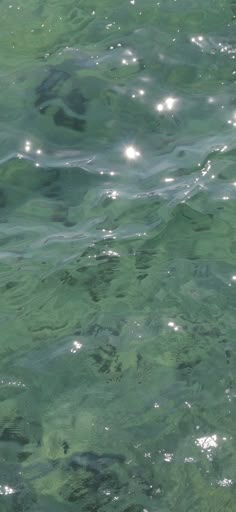 the water is very clear and green with some light reflecting off it's surface
