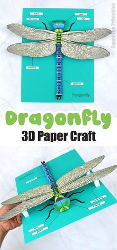 the dragonfly 3d paper craft is being held up