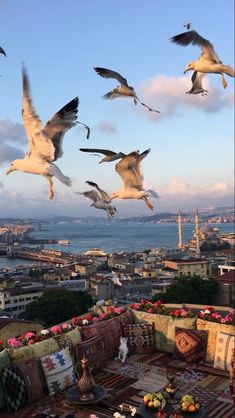 seagulls are flying over the city skyline with flowers and rugs on the ground