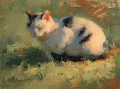 a painting of a white and black cat laying down on the ground with grass in front of it