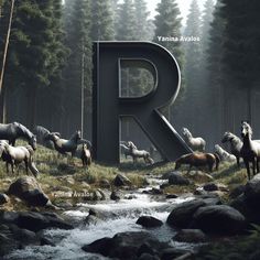 there are many horses standing in the grass near a river and letters that read r
