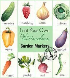 an image of watercolor vegetables with the words print your own on them in green