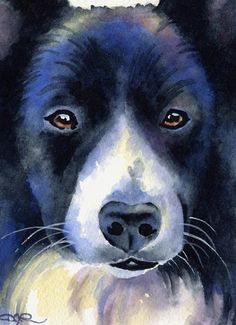 a watercolor painting of a black and white dog's face with brown eyes