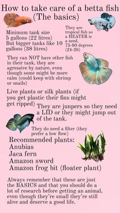 a pink poster with different types of fish on it's sides and the words how to take care of a betta fish