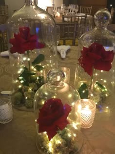 two glass domes with roses in them and some lights on the table next to each other