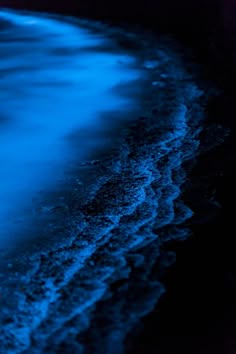 the water is very dark and blue at night