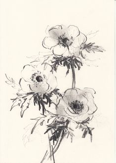 black and white drawing of three flowers