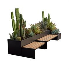 two planters with cactus and succulents in them on a wooden bench