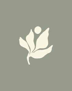 a white flower on a gray background